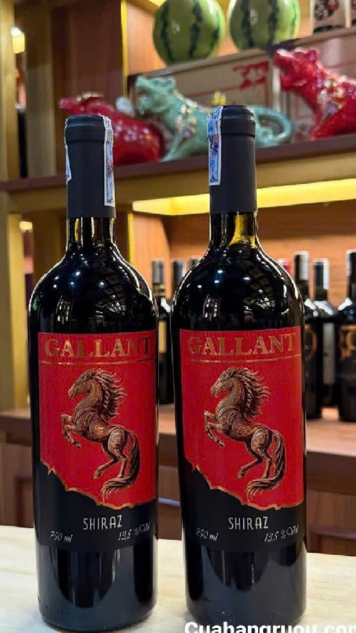 RƯỢU VANG CHILE GALLANT SHIRAZ