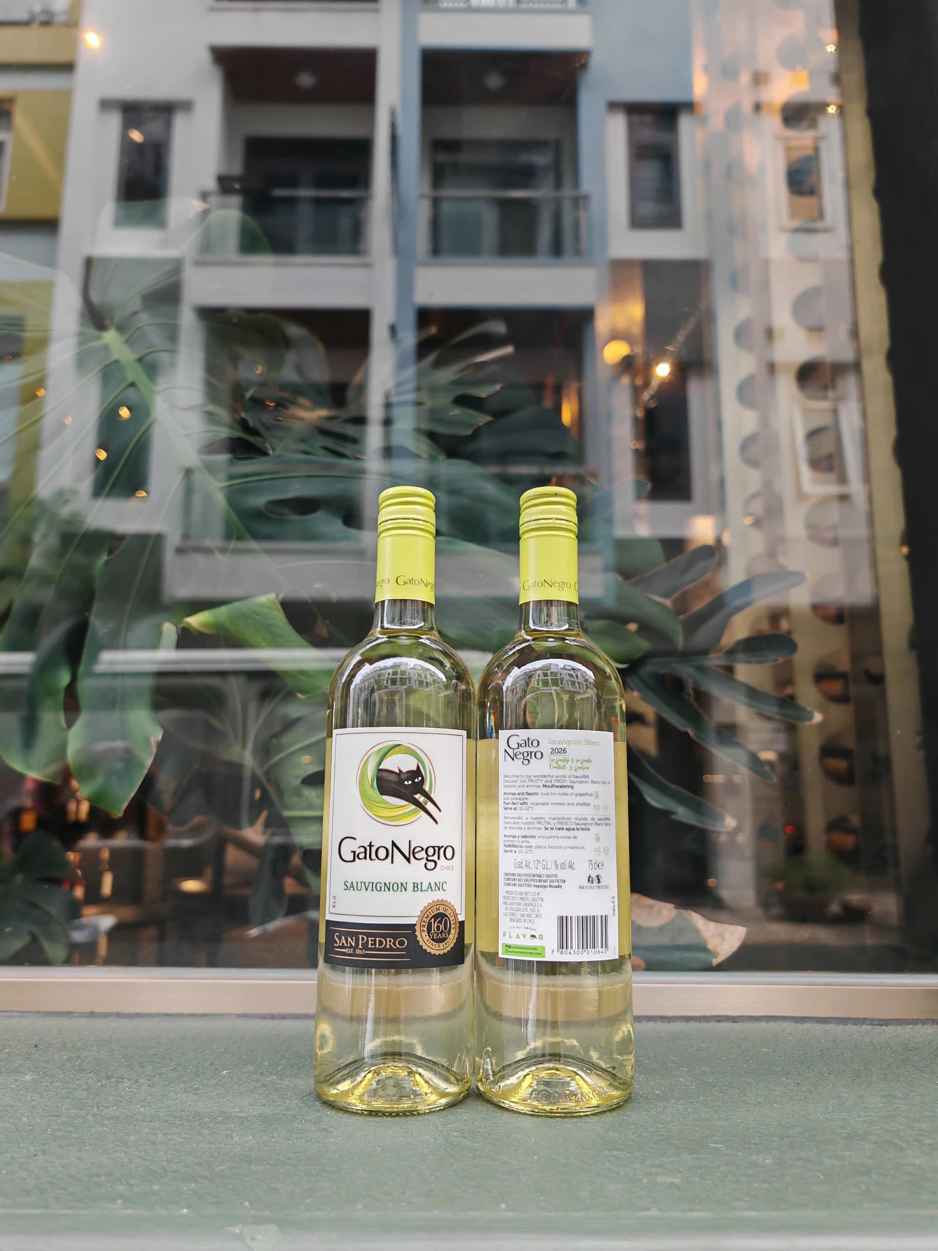 VANG CHILE NATO NEGRO SAUVIGNON BLANC